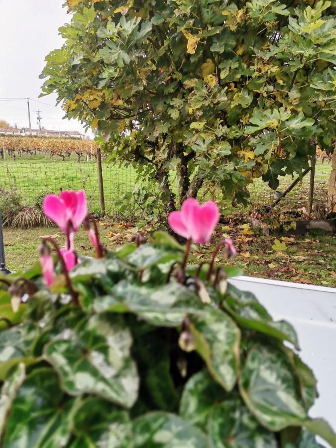 Gite " Suzon" A Peyroutas Vignonet St Emilion 외부 사진